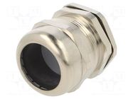 Cable gland; PG29; IP68; brass; RRPL; with strain relief RAYCHEM RPG