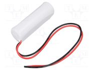 Battery: lithium; AA; 3.6V; 2100mAh; Body dim: Ø14.5x50.5mm; cables FANSO