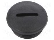 Stopper; M25; 1.5; IP54; polyamide; black; V-N-FS; Thread: metric HUMMEL