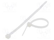 Cable tie; L: 100mm; W: 3.6mm; polyamide; 177N; natural; Ømax: 21mm FIX&FASTEN