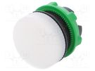 Control lamp; 22mm; Harmony XB5; -25÷70°C; Ø22mm; IP66; white SCHNEIDER ELECTRIC