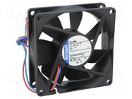 Fan: DC; axial; 24VDC; 80x80x25mm; 78m3/h; 37dBA; ball bearing; IP68 EBM-PAPST