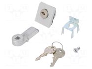 Lock; polyamide; for enclosures RITTAL