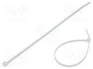 Cable tie; L: 200mm; W: 3.6mm; polyamide; 177N; natural; Ømax: 50mm FIX&FASTEN