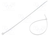 Cable tie; L: 250mm; W: 3.6mm; polyamide; 177N; natural; Ømax: 66mm FIX&FASTEN