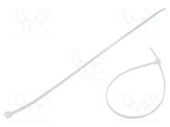 Cable tie; L: 280mm; W: 3.6mm; polyamide; 177N; natural; Ømax: 76mm FIX&FASTEN