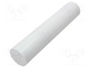 Rod; Ø: 100mm; L: 500mm; natural; extruded; Length tolerance: 0; +1mm MITSUBISHI CHEMICAL ADV. MATERIALS