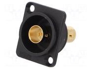 Coupler; BNC socket,both sides; FT; gold-plated; plastic; 19x24mm CLIFF