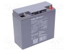 Re-battery: acid-lead; 12V; 17Ah; AGM; maintenance-free QOLTEC