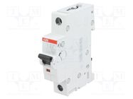 Circuit breaker; 230VAC; Inom: 13A; Poles: 1; Charact: B; 6kA; IP20 ABB