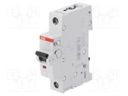 Circuit breaker; 230VAC; Inom: 50A; Poles: 1; Charact: B; 6kA; IP20 ABB