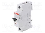 Circuit breaker; 230VAC; Inom: 13A; Poles: 1; Charact: C; 6kA; IP20 ABB