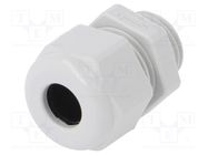 Cable gland; M16; 1.5; IP68; polyamide; grey; UL94V-0; HSK-K HUMMEL