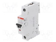 Circuit breaker; 230VAC; Inom: 16A; Poles: 1; Charact: C; 6kA; IP20 ABB