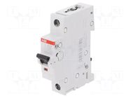 Circuit breaker; 230VAC; Inom: 32A; Poles: 1; Charact: C; 6kA; IP20 ABB