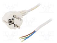 Cable; 3x0.75mm2; CEE 7/7 (E/F) plug angled,wires,SCHUKO plug PLASTROL