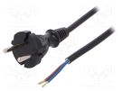Cable; 2x1mm2; CEE 7/17 (C) plug,wires; PVC; 5m; black; 16A; 250V PLASTROL