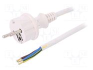Cable; 3x1.5mm2; CEE 7/7 (E/F) plug,wires,SCHUKO plug; PVC; 2m PLASTROL