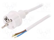 Cable; 3x1.5mm2; CEE 7/7 (E/F) plug,wires,SCHUKO plug; PVC; 3m PLASTROL
