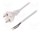 Cable; 2x1mm2; CEE 7/17 (C) plug,wires; PVC; 5m; white; 16A; 250V PLASTROL