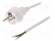 Cable; 3x1mm2; CEE 7/7 (E/F) plug,wires,SCHUKO plug; PVC; 2m 