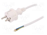 Cable; 3x1mm2; CEE 7/7 (E/F) plug,wires,SCHUKO plug; PVC; 5m 