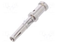 Contact; female; Buccaneer 6000,Buccaneer 7000; brass; crimped BULGIN