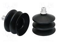 Suction cup; 62mm; G1/4 IG; Shore hardness: 55; 72.5cm3; FSG SCHMALZ