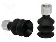 Suction cup; 25mm; G1/8" IG; Shore hardness: 55; 5.4cm3; FSG SCHMALZ