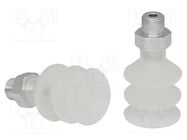 Suction cup; 25mm; G1/8" AG; Shore hardness: 55; 5.222cm3; FSG SCHMALZ