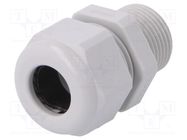 Cable gland; with long thread; M20; 1.5; IP68; polyamide; grey HUMMEL