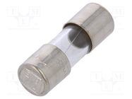 Fuse: fuse; time-lag; 1A; 250VAC; cylindrical,glass; 5x15mm ESKA