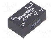 Converter: DC/DC; 3W; Uin: 9÷18V; Uout: 12VDC; Iout: 250mA; DIP16; THT MEAN WELL