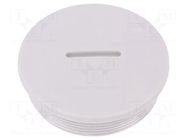 Stopper; M50; 1.5; IP54; polyamide; grey; V-N-FS; Thread: metric HUMMEL