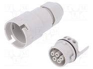 Connector: AC supply; screw terminal; female; 9÷12mm; 1÷2.5mm2 AAG STUCCHI