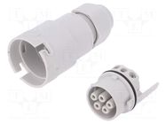 Connector: AC supply; screw terminal; female; 9÷12mm; 1÷2.5mm2 AAG STUCCHI