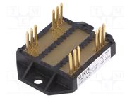 Module: diode; double independent; 1.2kV; If: 128Ax2; ECO-PAC 2 IXYS