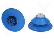 Suction cup; 100mm; G3/8 IG; Shore hardness: 60; 92.5cm3; SAB SCHMALZ