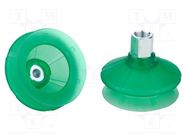 Suction cup; 80mm; G1/4 IG; Shore hardness: 65; 98.358cm3; SPB1 SCHMALZ