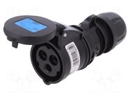 Connector: AC supply; plug; female; 16A; 230VAC; Midnight; IP44 PCE