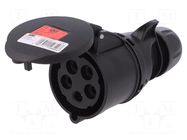 Connector: AC supply 3-phase; plug; female; 32A; 400VAC; Midnight PCE