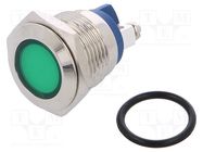 Indicator: LED; flat; green; 24VDC; 24VAC; Ø16mm; screw; brass NINIGI