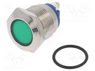 Indicator: LED; flat; green; 12VDC; 12VAC; Ø19mm; screw; brass NINIGI