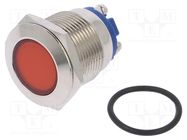 Indicator: LED; flat; red; 24VDC; 24VAC; Ø19mm; screw; brass NINIGI