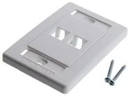 INTERFACE PLATE, PLASTIC, 2 MOD, WHITE