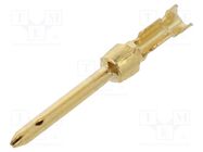 Contact; male; 20; brass; gold-plated; 0.08÷0.2mm2; 28AWG÷24AWG TE Connectivity