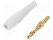 Plug; 4mm banana; 32A; white; non-insulated; 2.5mm2; gold-plated STÄUBLI