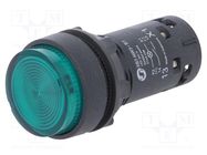 Switch: push-button; 22mm; Stabl.pos: 1; NO; green; LED; 24V; IP65 SCHNEIDER ELECTRIC