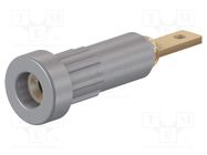 Socket; 2mm banana; 10A; Overall len: 23mm; grey; insulated; 60VDC STÄUBLI