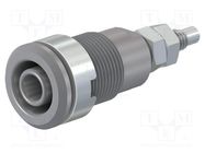 Connector: 4mm banana; socket; 32A; 1kV; Cutout: Ø12.2mm; grey STÄUBLI